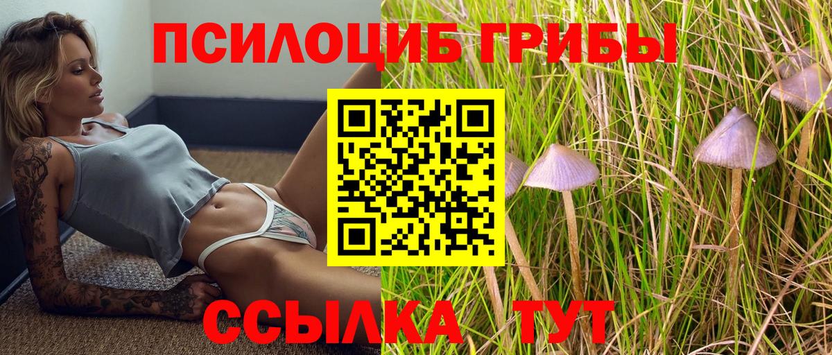 Псилоцибиновые грибы Psilocybe  цены   Ульяновск  Вход с VPN 